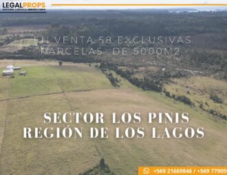 Exclusivo Loteo Sector Los Pinis – Región de los Lagos