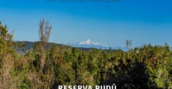 Parcela reserva Pudú